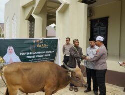 Polres Luwu Timur berqurban 18 Ekor Sapi