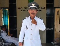 Basri, Oknum Kepala Desa dari Malangke Barat Mampu jinakkan Ular