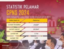 21.826 Pelamar CPNS di Luwu Timur, Tenaga Honorer Kecewa dan Gigit Jari