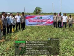 Dukung Swasembada Pangan, Polres Lutra dan Dinas pertanian Manfaatkan Lahan Tidur